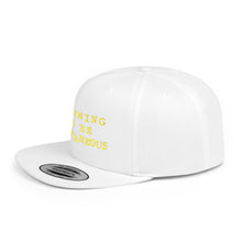 Load image into Gallery viewer, Flat Bill Snapback