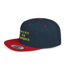 Load image into Gallery viewer, Flat Bill Snapback